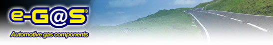 e-gas